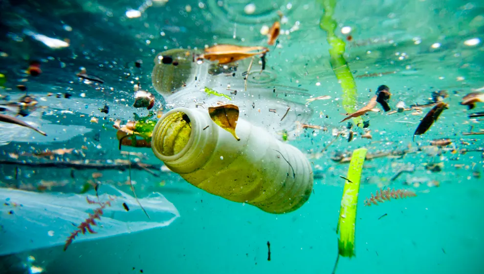 Cele două fețe ale plasticului. Invenția care ne salvează viața, dar ne distruge planeta