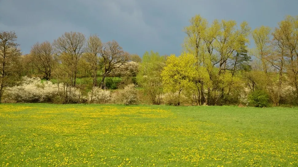 Vremea azi, 15 mai. Temperaturile urcă până la 25 de grade, dar ploile revin în vest