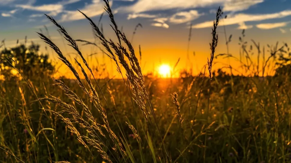 Meteorologii anunță când vine vara în România