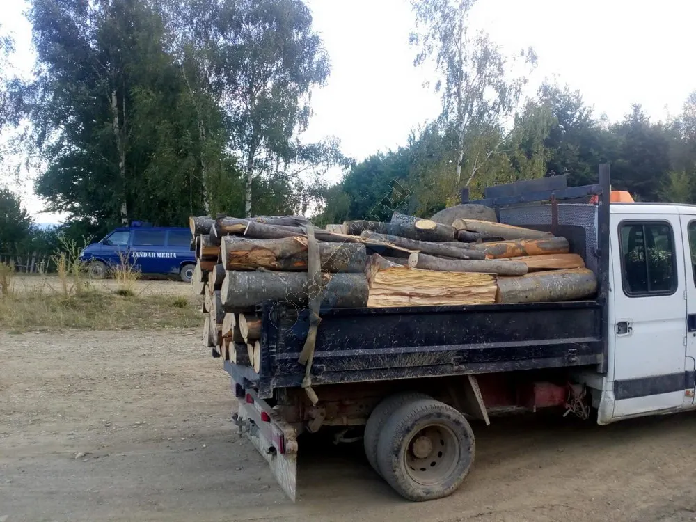 Lemnele i-au adus o amendă