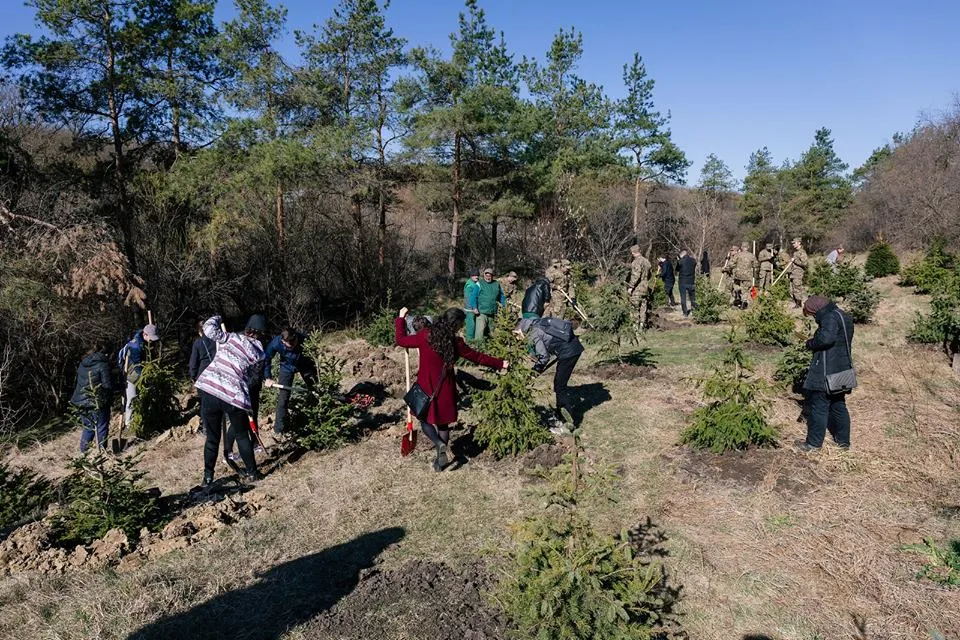 Campanie de plantat arbori în mai multe zone din Iași