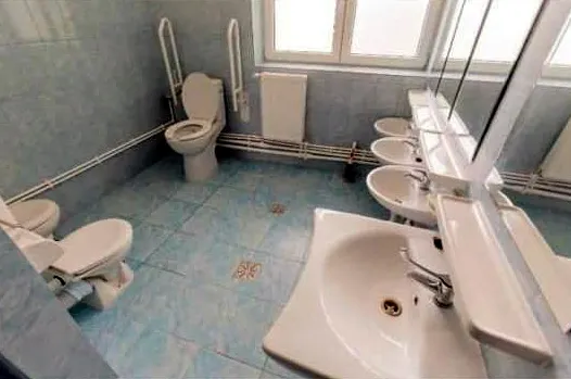 Cu ce se laudă președintele Consiliului Județean Iași: toalete de grădiniță, la comun