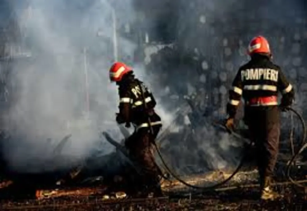 Drama unei familii din Iași: Au rămas fără lemne de foc în prag de Sărbători