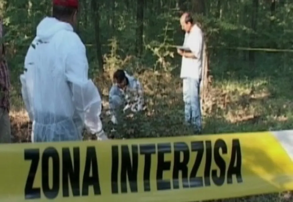 A omorât cu toporul un pădurar. Ce au decis judecătorii în cazul criminalului de la Sireţel