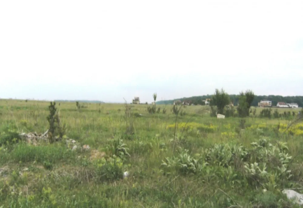 CULISELE STATULUI PARALEL. Oamenii statului paralel, paznici la retrocedări