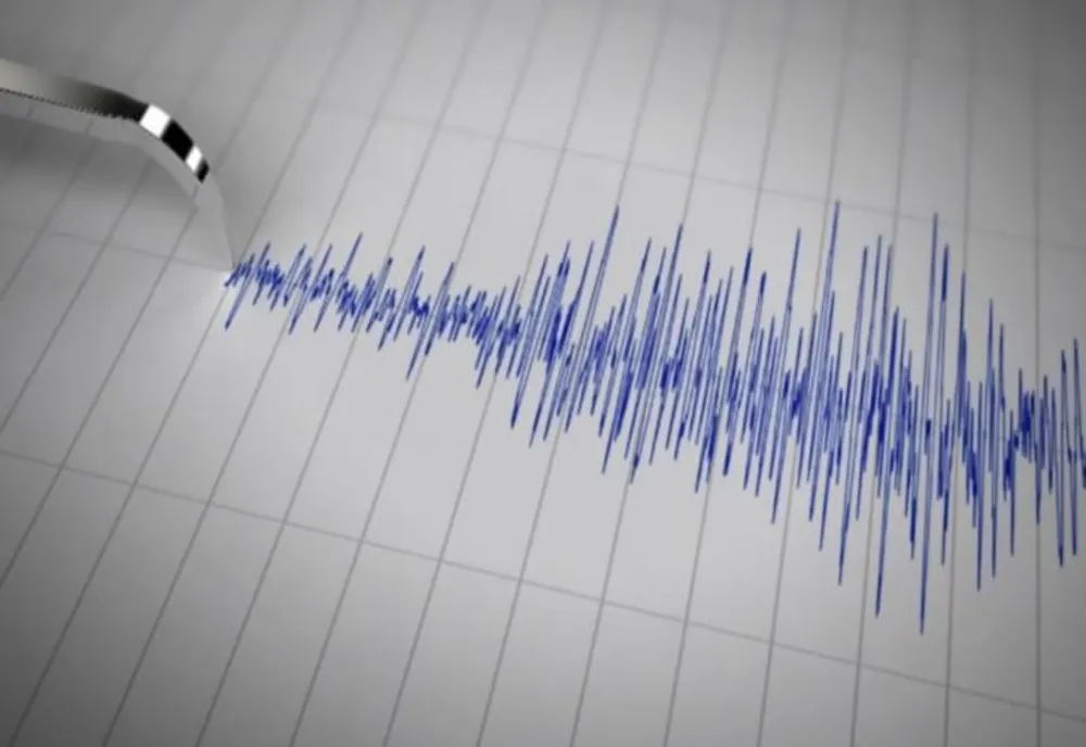 Cutremur în România, noaptea trecută - Ce magnitudine a avut seismul