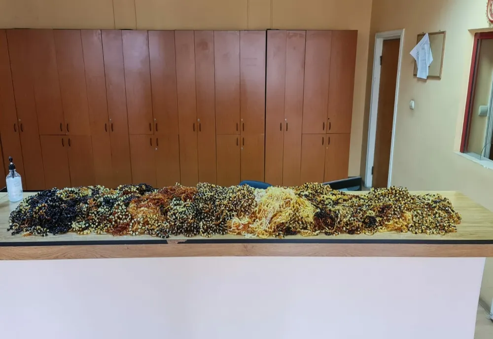 Un turc a încercat să intre în țară cu mașina burdușită de chihlimbar 
