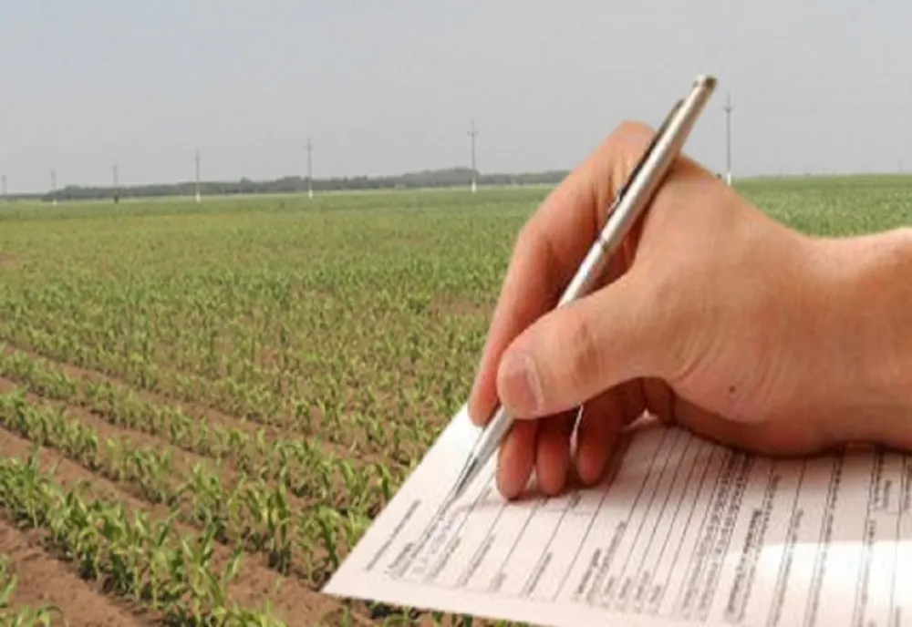 APIA a stabilit cuantumurile ajutoarelor naționale tranzitorii aferente sectoarelor vegetal și zootehnic, pentru anul de cerere 2022