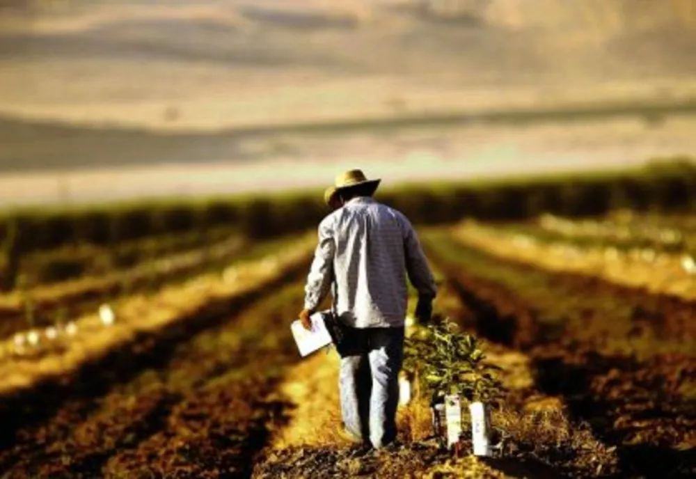 Fermierii români vor primi mai mulți bani de la UE - Ce produse ar putea fi oprite de la import