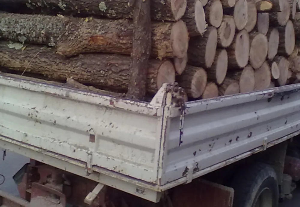 Material lemnos confiscat