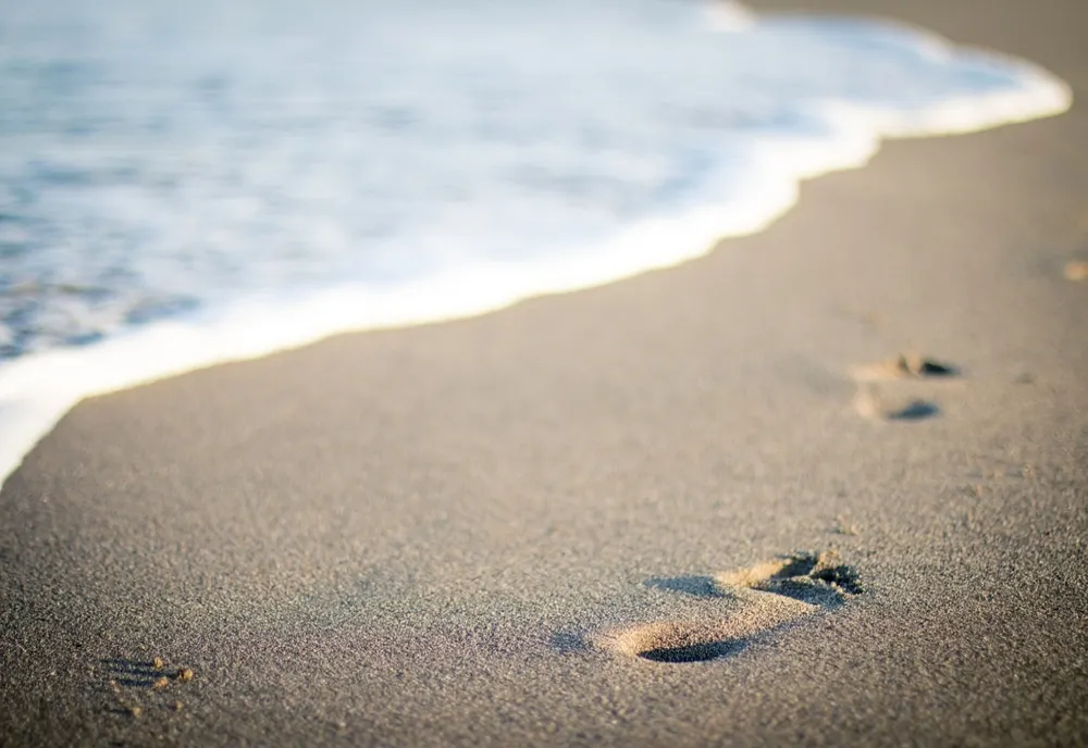 Un primar a plecat în concediu la mare cu angajații - Primăria a rămas goală