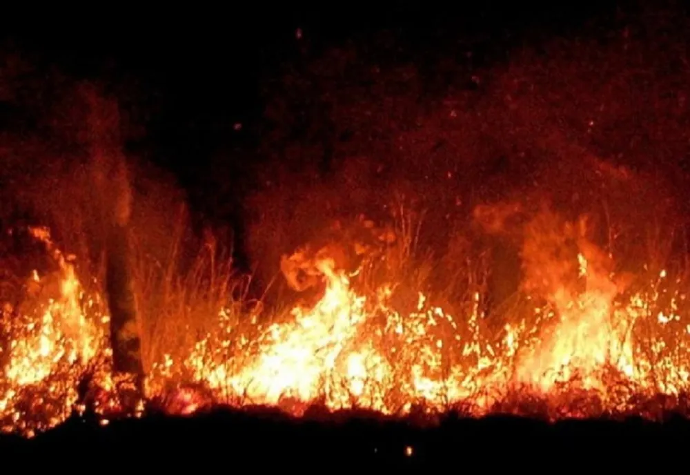 DSU: INCENDII DE VEGETAŢIE, ÎN MAI MULTE JUDEŢE