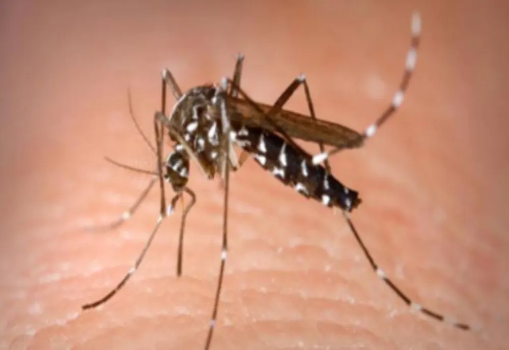 UN NOU DECES ÎNREGISTRAT DIN CAUZA INFECȚIEI CU VIRUSUL WEST NILE