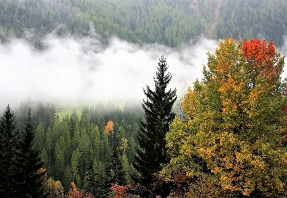 VREMEA SE ÎNCĂLZEȘTE UȘOR, DAR DIMINEȚILE RĂMÂN RECI – PROGNOZA METEO PENTRU 21 OCTOMBRIE