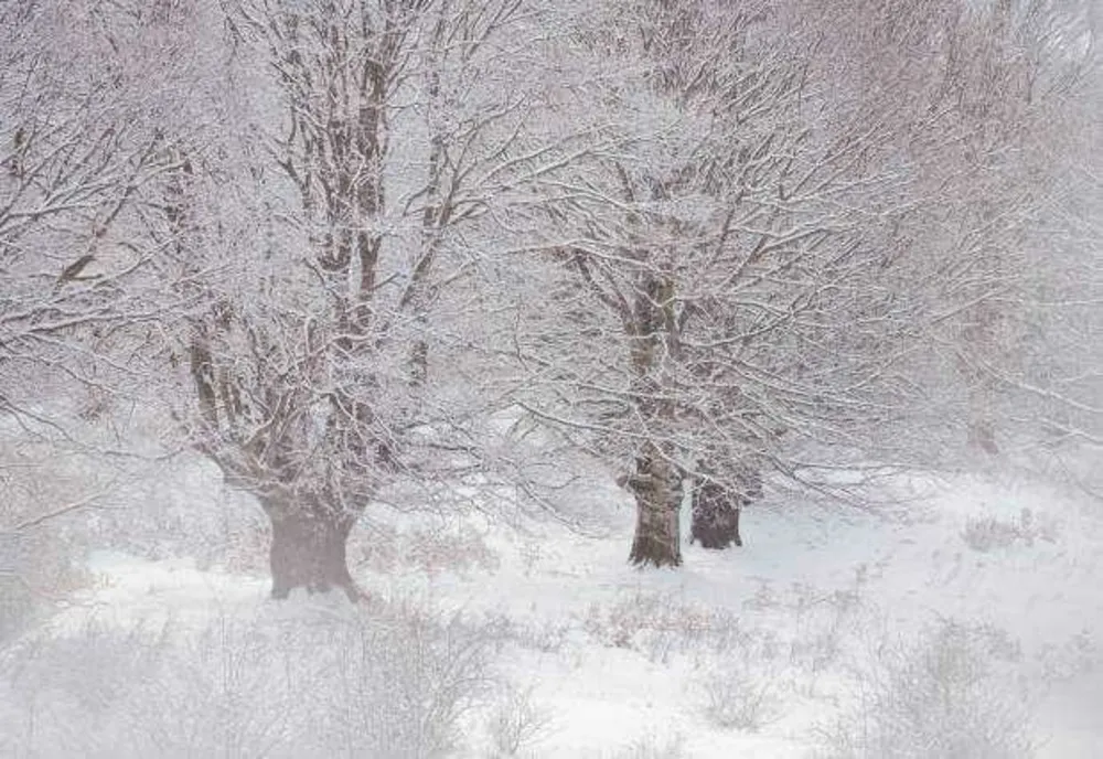 VREMEA 16 FEBRUARIE. NINSORI ȘI GER
