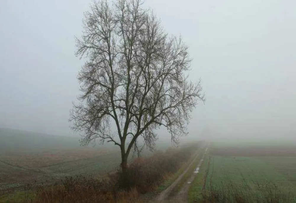 Vremea 17 decembrie. Temperaturi de primăvară, în plină lună de iarnă. Care sunt maximele zilei de astăzi