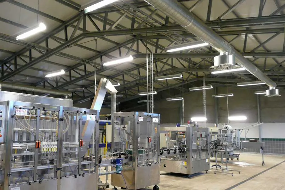 Economia României se prăbușește: producția industrială scade alarmant!