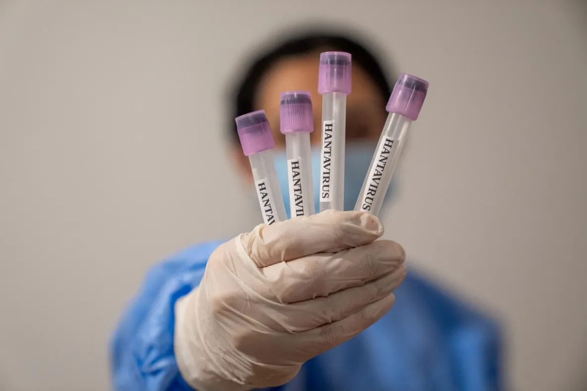 Un nou caz de hantavirus depistat în România. Pacientul este internat în Oradea