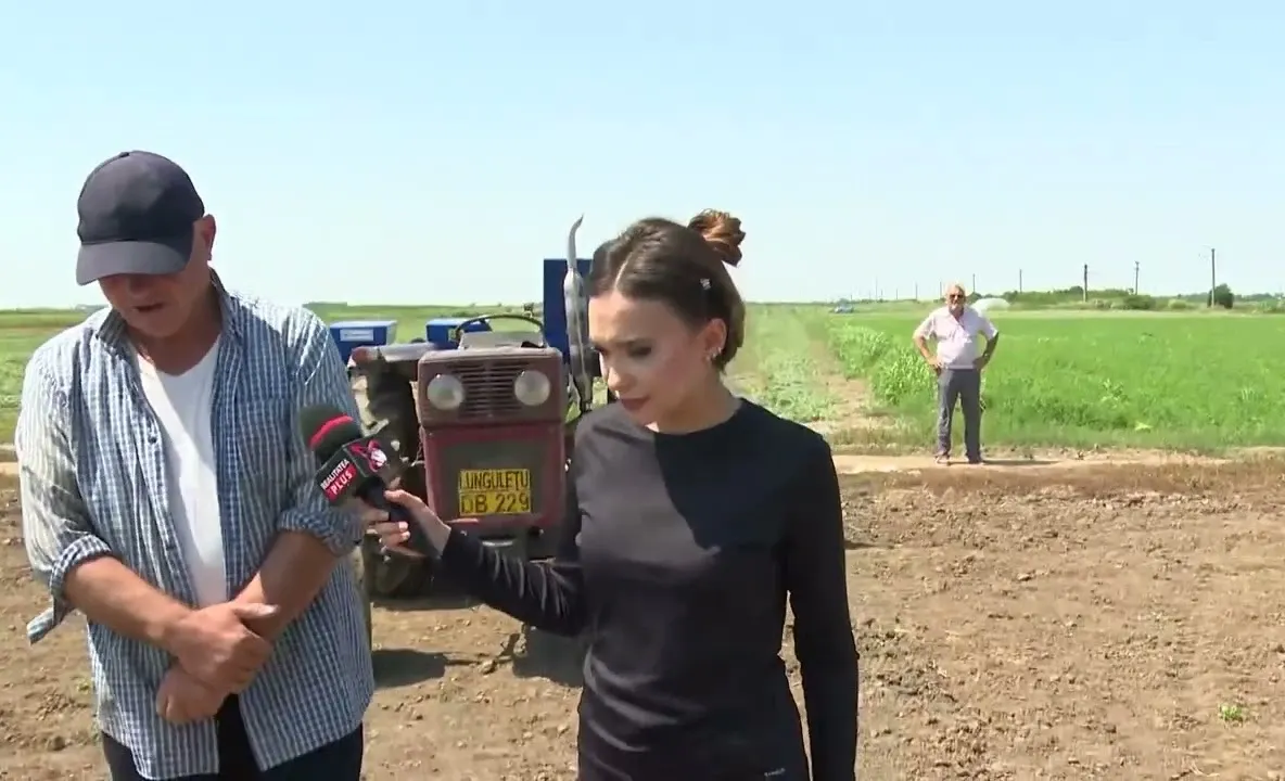 Alertă națională: Agricultorul român se confruntă cu cel mai crunt an din ultimele trei decenii! 