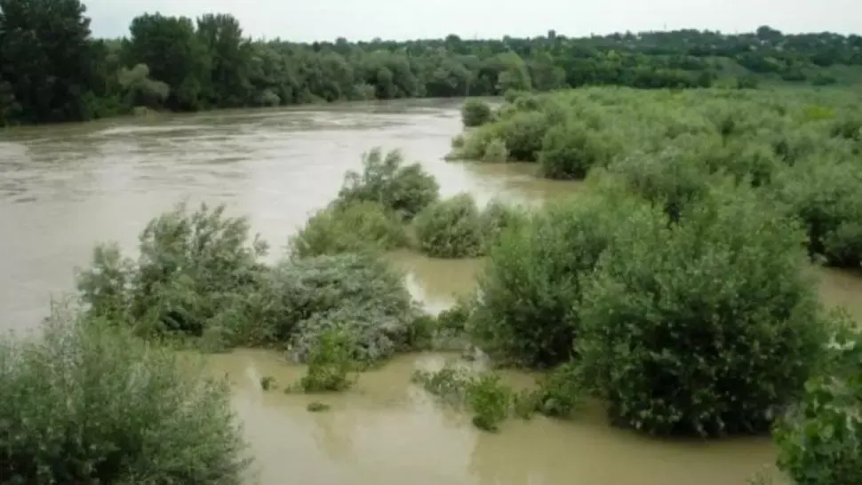FOTO: Arhivă