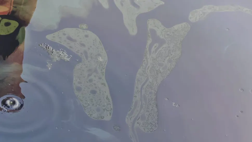 Poluare Dunăre