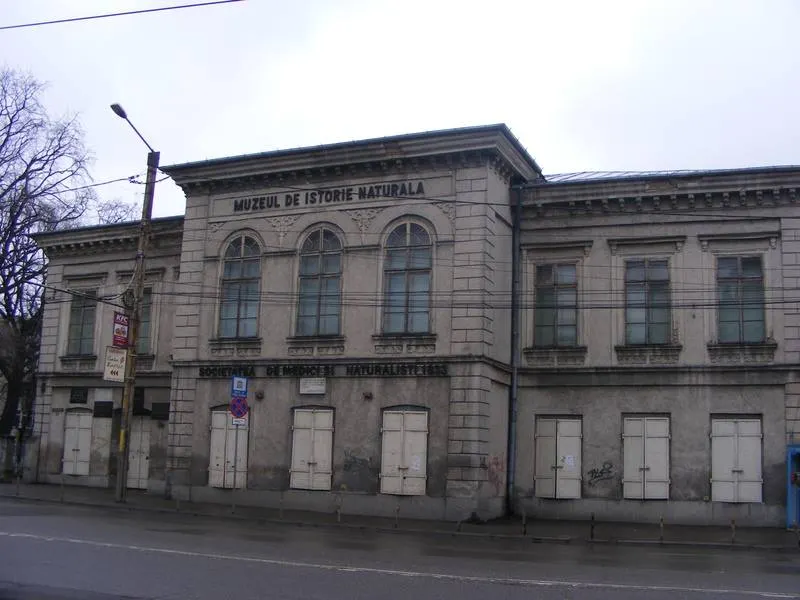 muzeul de istorie naturala Iasi