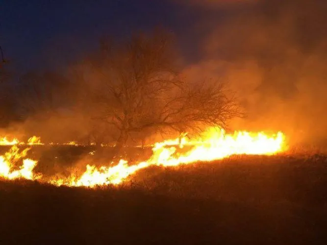 Foto ilustrativ