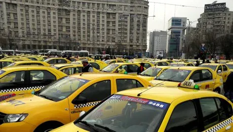 taxiuri_palat_26015000