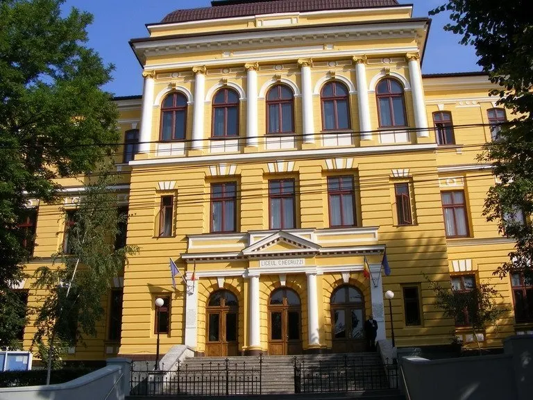 Negruzzi
