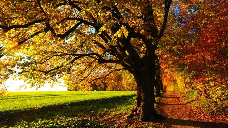 FOTO: Arhivă