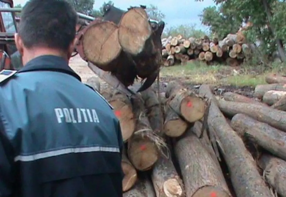 Trei tineri, cu dosare penale după ce au furat scânduri 
