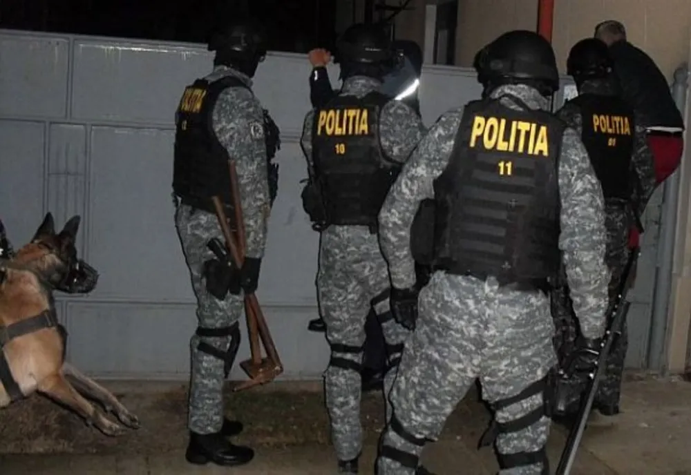 "Mascații" au dat năvală peste hoții de lemne!