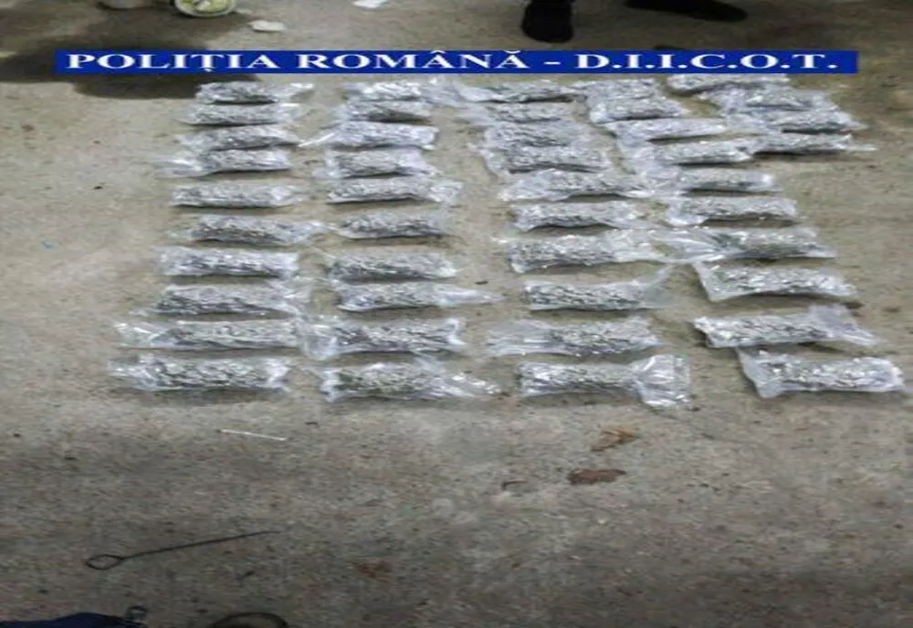 Lovitură grea dată traficanților de droguri, la Iaşi! Trei moldoveni, prinși cu peste 11 kilograme de cannabis! - FOTO