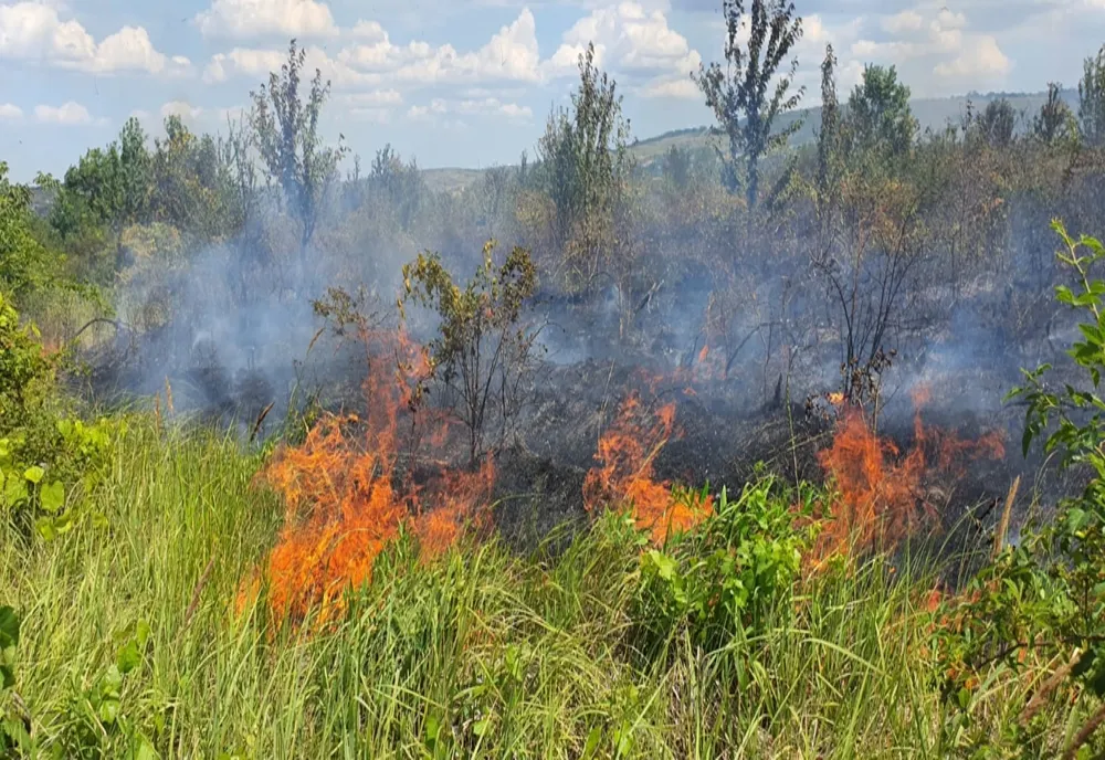 Zeci de hectare de vegetație uscată pârjolite în Iași. Sfaturile pompierilor
