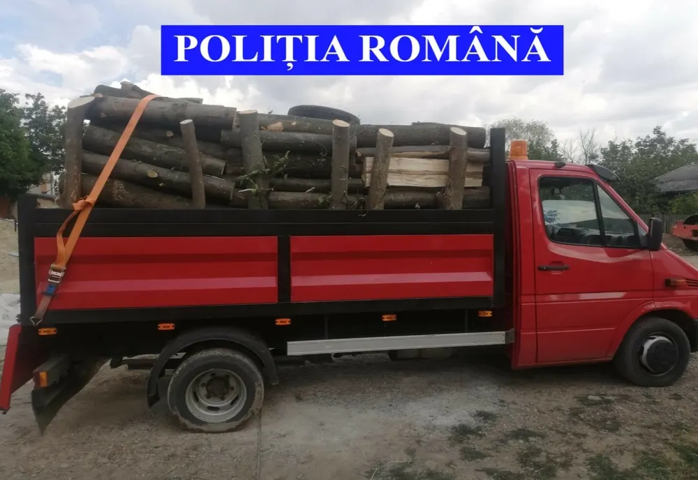 ”ACTION DAY – FORESTRY”- amenzi de peste 43.000 de lei