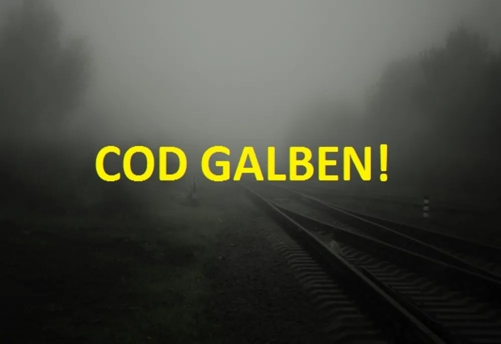 COD GALBEN de CEAȚĂ în județele Moldovei