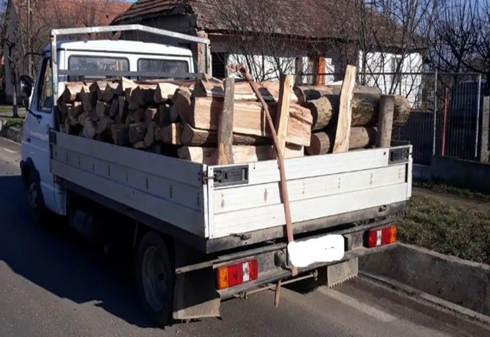 Prins cu lemnul fără documente în remorcă
