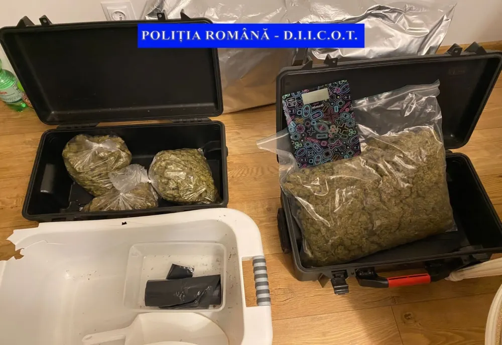 14 percheziții și 8 rețineri într-un dosar de trafic de droguri de risc