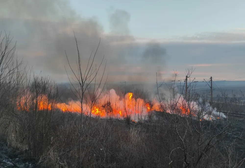Peste 5000 mp de vegetație uscată au ars în apropiere de Târgu Frumos