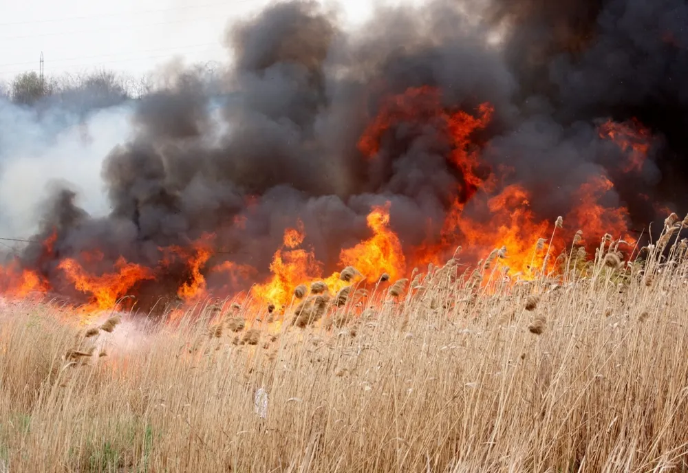 Desfășurare de forțe pentru stingerea incendiului de la Miroslava. O femeie de 72 de ani, găsită decedată!
