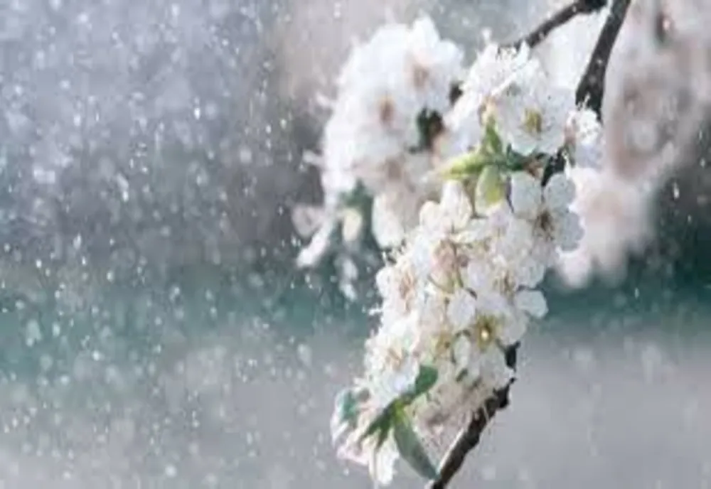 Prognoza meteo 1 mai. Temperaturi în creștere, dar și zone lovite de ploi - cum va fi vremea în ultima zi de minivacanță