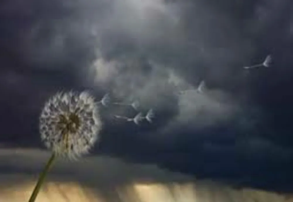 Avertizăre meteo - Cod galben de vânt puternic: Rafale de până la 100 km/h