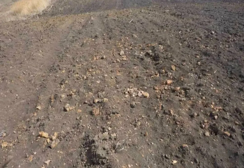 RĂMĂŞIŢE UMANE PREISTORICE ŞI VESTIGII ARHEOLOGICE, PE ŞANTIERUL SPITALULUI REGIONAL IAŞI