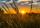 Meteorologii anunță când vine vara în România