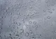 Cod galben de vânt în mai multe regiuni ale țării. Meteorologii anunță instabilitate atmosferică și ploi însemnate