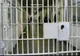 ALERTĂ la penitenciar: bărbat înjunghiat în SPATE!