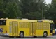Autobuze din Iași, vopsite în culorile drapelului național