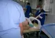 Deces din pricina unei viespi: ce spune un MEDIC ieşean!