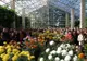 „Flori de toamnă“, la Grădina Botanică