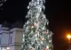 Bradul cu spectacole, la Teatrul Luceafărul